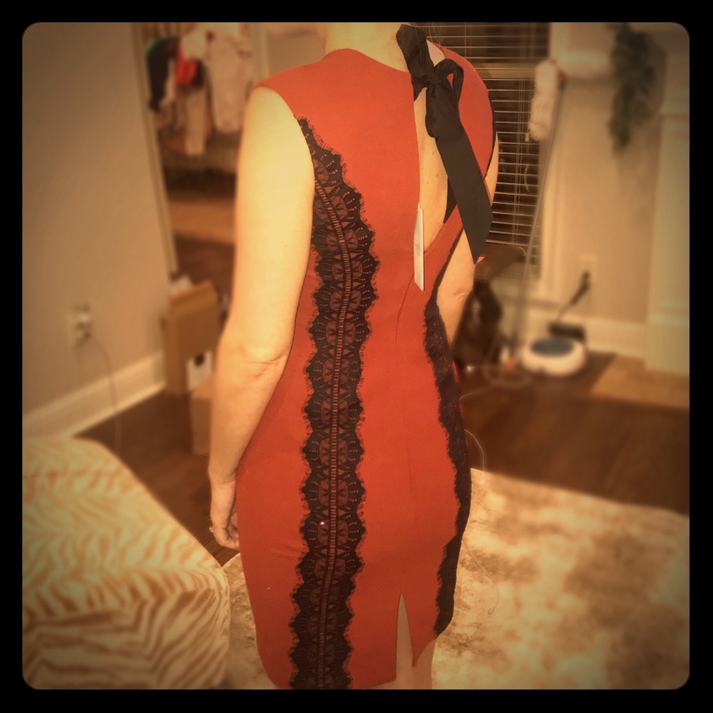 NWT-Tracy Reese “Paprika” Embellished Inset Dress